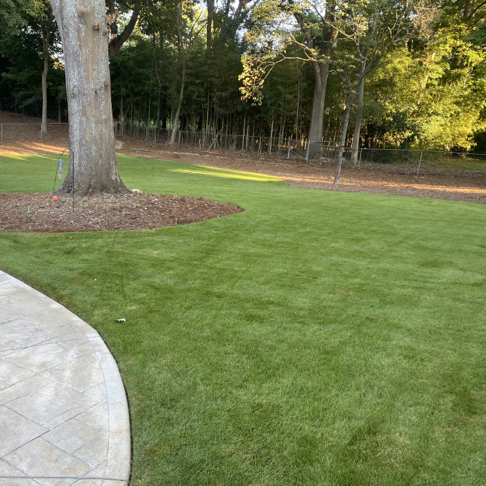 lawn maintenance in a property
