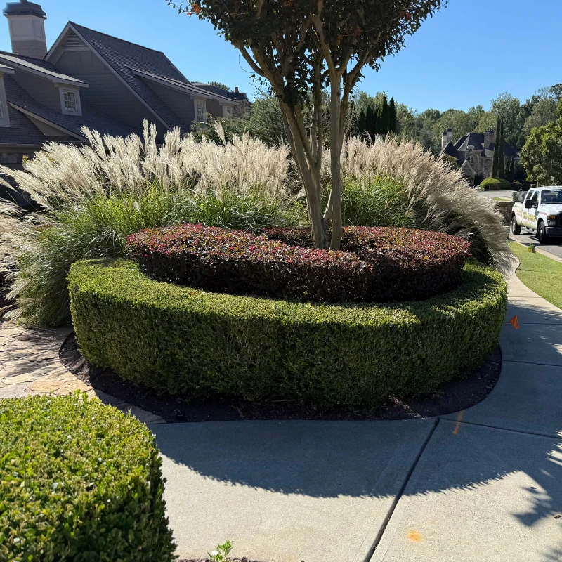 new shrub healthcare0image