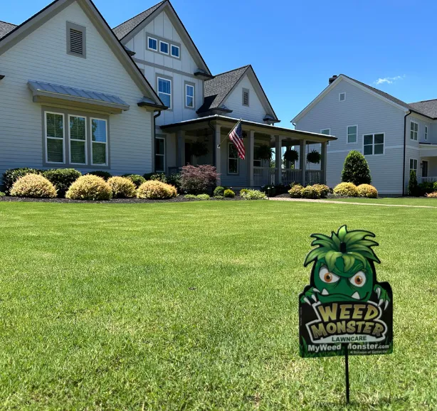 weed master new img5 optimized