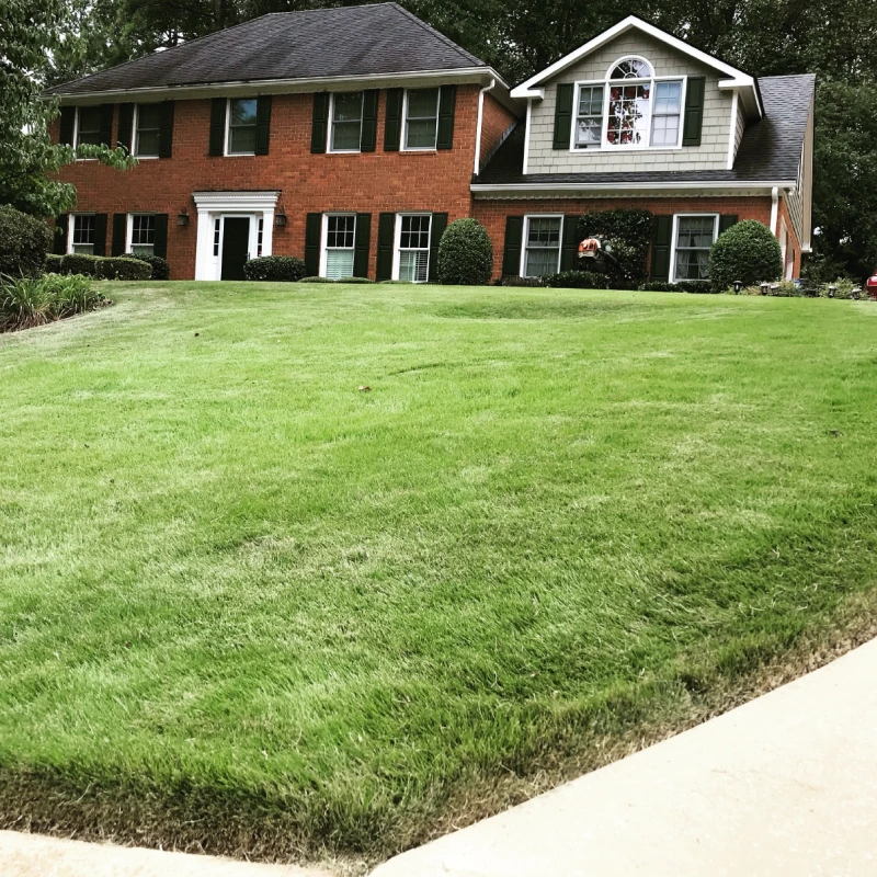lawn maintenance